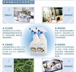 蘇州綠葉集團 直銷博客網視角下的日用百貨銷售新業態